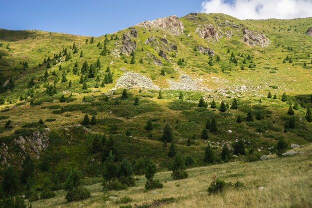 Paisaje de colinas cubiertas de hierba y árboles bajo un cielo nublado y la luz del sol durante el día