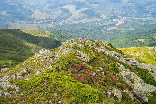 Paisaje de colinas cubiertas de hierba y flores con montañas bajo la luz del sol en el fondo