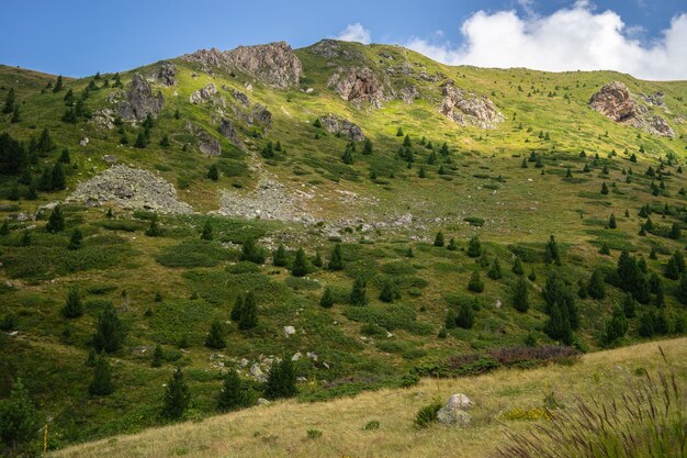 Paisaje de colinas cubiertas de vegetación bajo un cielo azul y la luz del sol durante el día