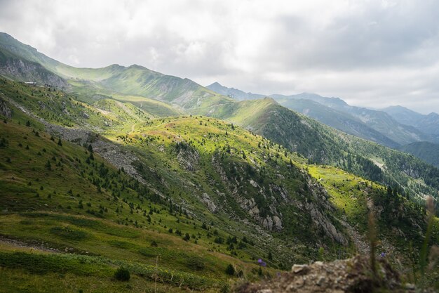 Paisaje de colinas cubiertas de vegetación con montañas rocosas bajo un cielo nublado en el fondo