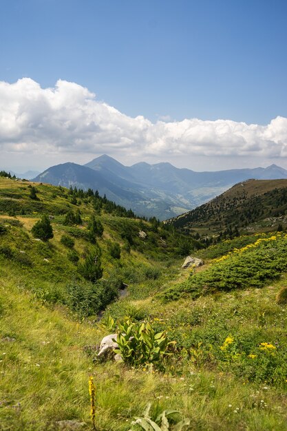 Paisaje de colinas cubiertas de vegetación con montañas rocosas bajo un cielo nublado