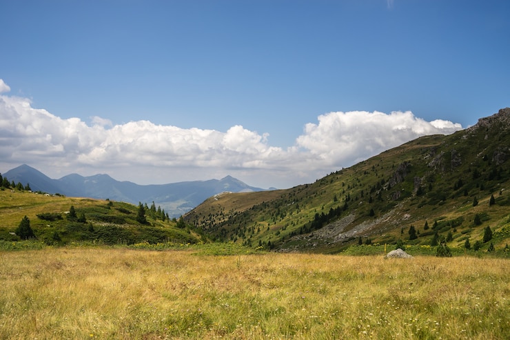 Foto gratuito paisaje de colinas cubiertas de vegetación con montañas rocosas bajo un cielo nublado