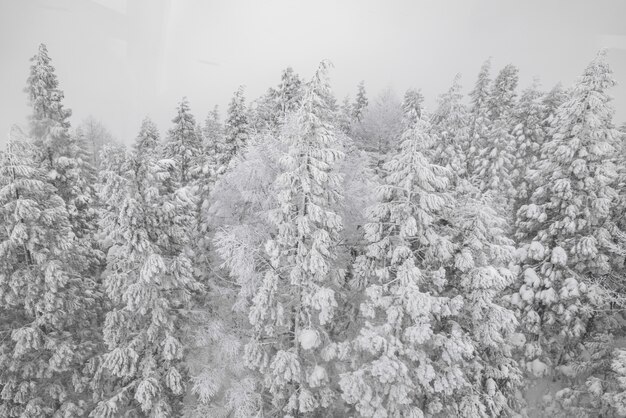 Paisaje cubierta de hielo cielo montaña