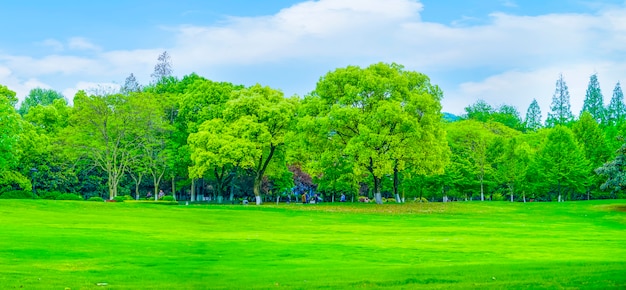 Foto gratuita paisaje decoración montañas soleado forma espacio