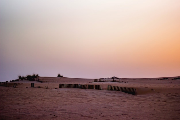 Foto gratuita paisaje desértico