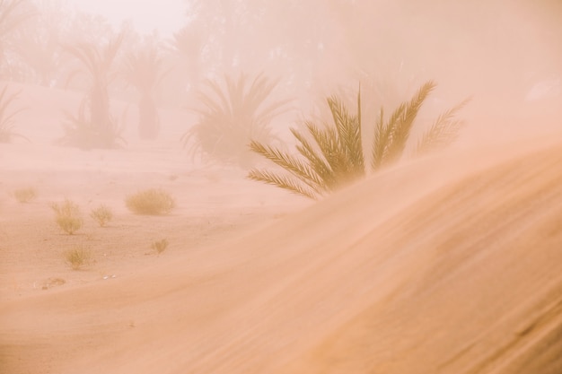 Paisaje de desierto en marruecos