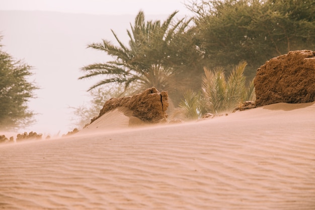 Paisaje de desierto en marruecos