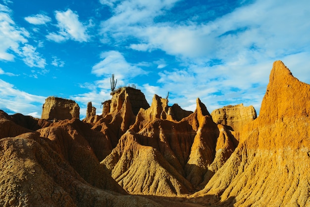 Paisaje de un desierto