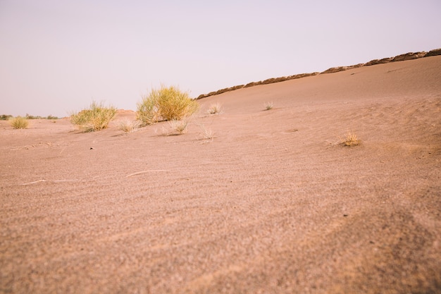 Paisaje de desierto