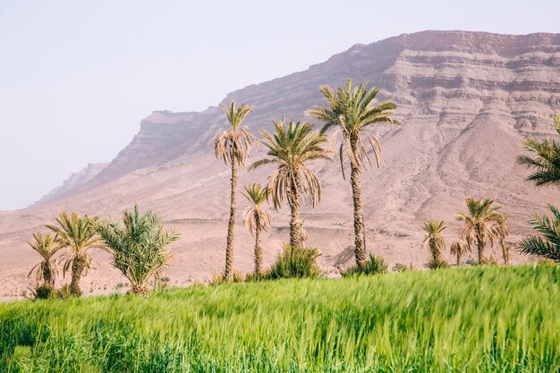 Paisaje de desierto