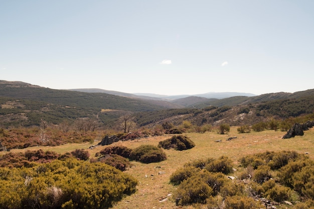 Paisaje de estepa