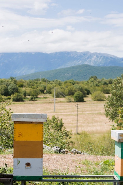 Foto gratuita paisaje granja de miel