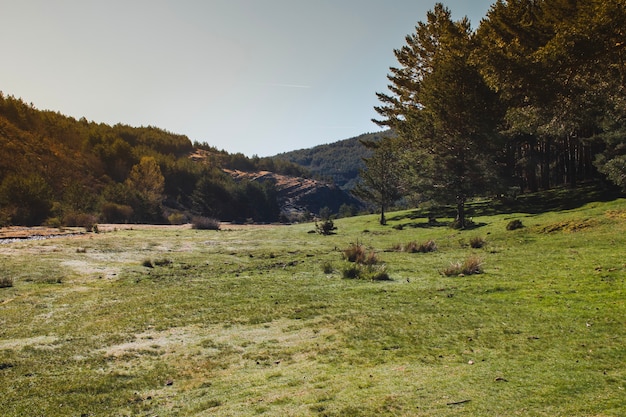 Foto gratuita paisaje con hierba y colinas