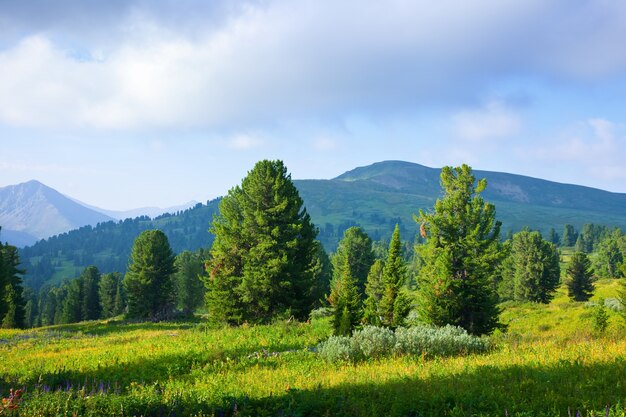 paisaje horizontal de las montañas