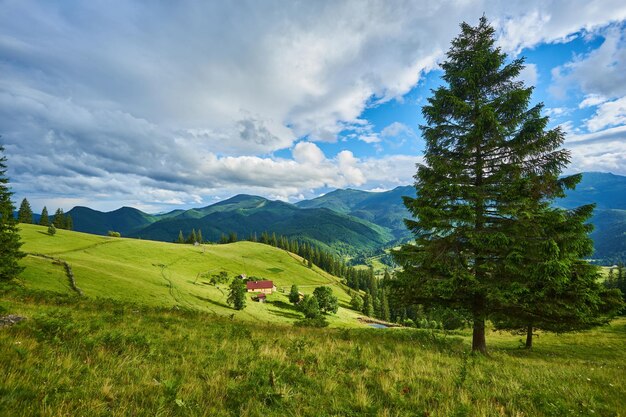 Paisaje idílico en los Alpes con prados verdes frescos y flores florecientes