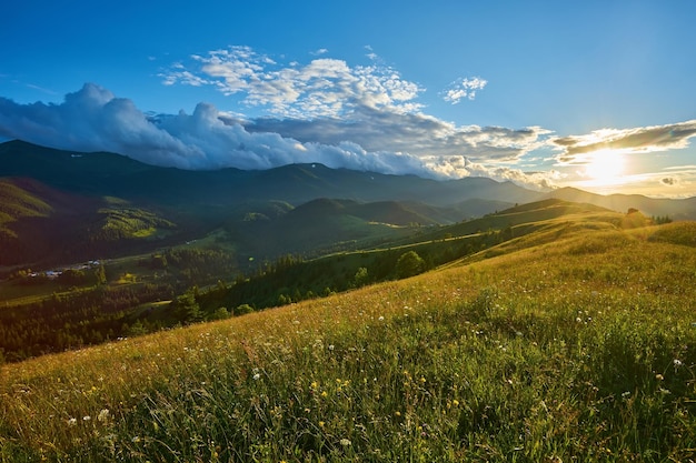 Paisaje idílico en los Alpes con prados verdes frescos y flores florecientes