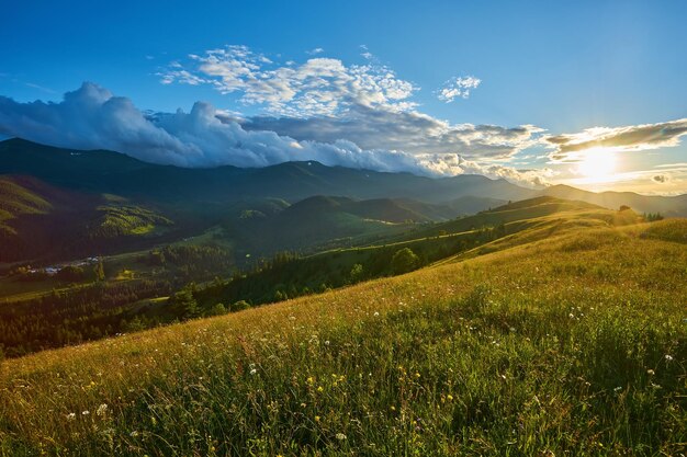 Paisaje idílico en los Alpes con prados verdes frescos y flores florecientes