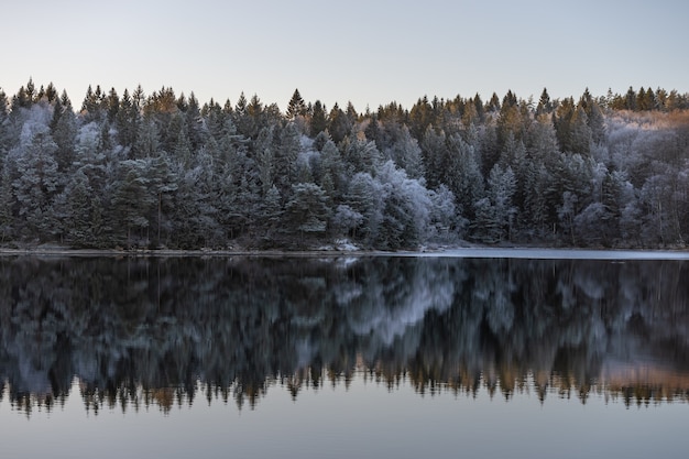 Paisaje invernal, aguas tranquilas y reflejos de árboles y cielo.