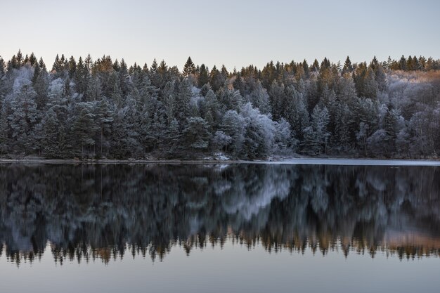 Paisaje invernal, aguas tranquilas y reflejos de árboles y cielo.