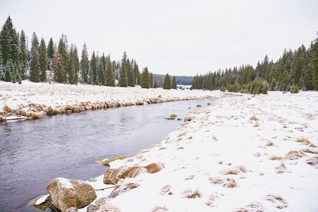 Paisaje invernal cerca de Modrava