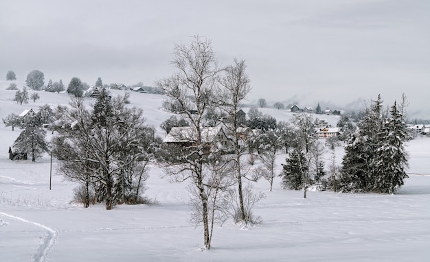 Un paisaje invernal especial