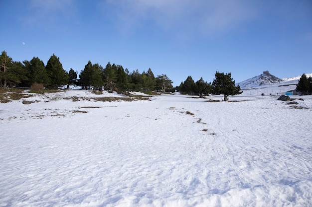 Paisaje de invierno con nieve y bosque.