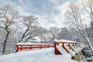 Foto gratuita paisaje de invierno con un puente nevado