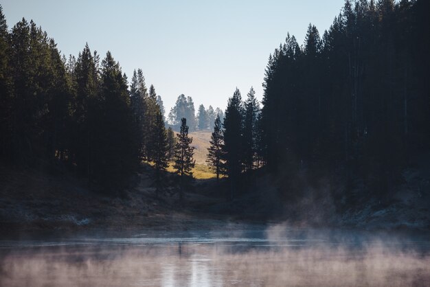 Paisaje de un lago helado rodeado por un bosque.