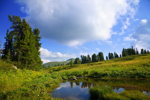 Paisaje con el lago de las montañas