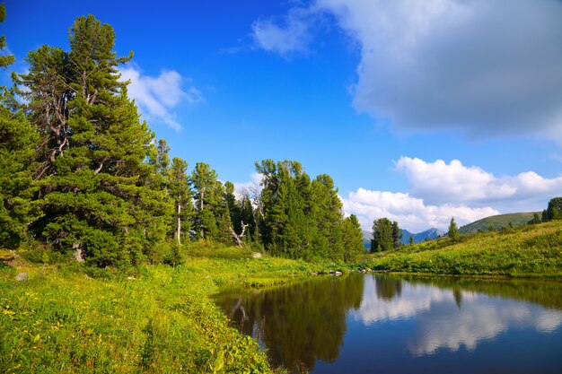 paisaje con el lago de las montañas