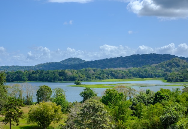 Paisaje de un lago rodeado de colinas cubiertas de vegetación bajo un cielo azul durante el día