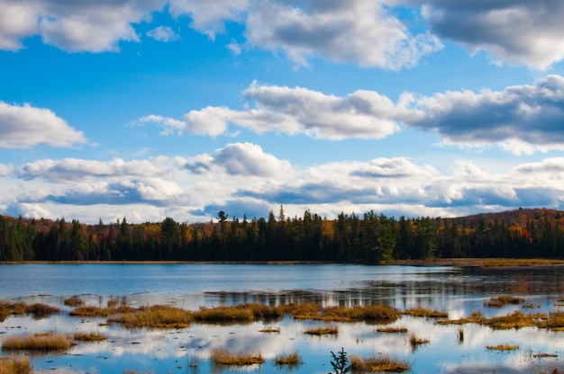 Paisaje en un lago