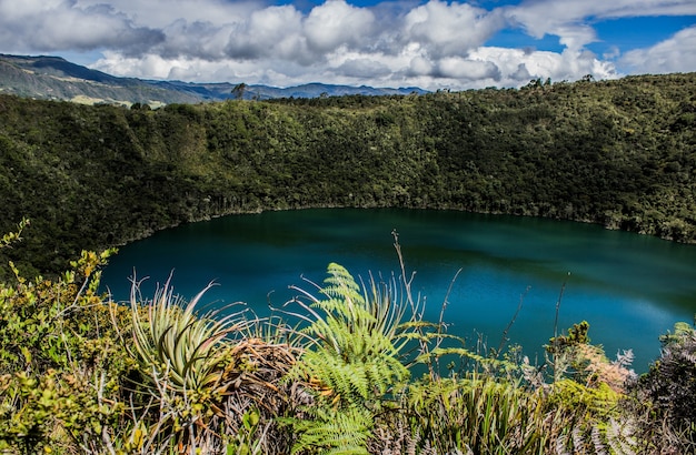 Paisaje de la Laguna del Cacique Guatavita rodeado de vegetación bajo la luz del sol en Colombia