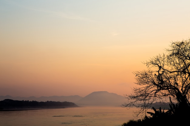 Foto gratuita paisaje de la mañana la luz del sol con el árbol, y el río