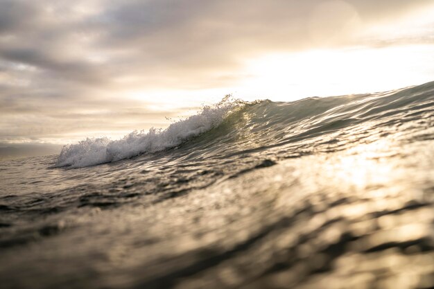 Paisaje de mar con olas y nubes.