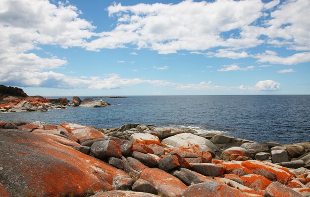 Paisaje mar y rocas