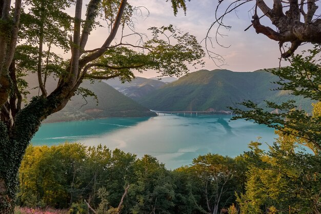 Paisaje del mar rodeado de colinas cubiertas de vegetación bajo la luz del sol y un cielo nublado