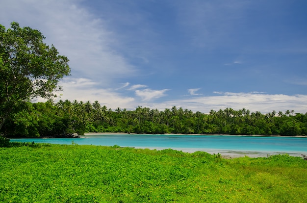 Paisaje del mar rodeado de vegetación bajo un cielo nublado azul en la isla Savai'i, Samoa