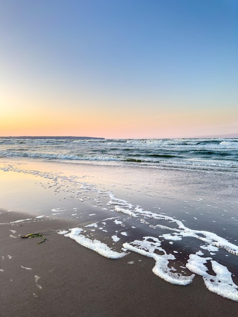 Foto gratuita paisaje marítimo con playa de arena y cielo despejado sin nubes