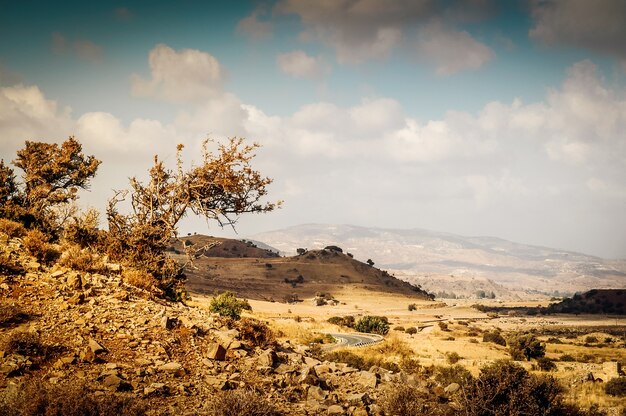 Paisaje mediterráneo rocoso escaso y seco