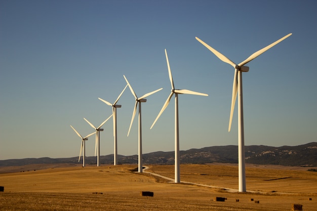 Paisaje con molinos de viento