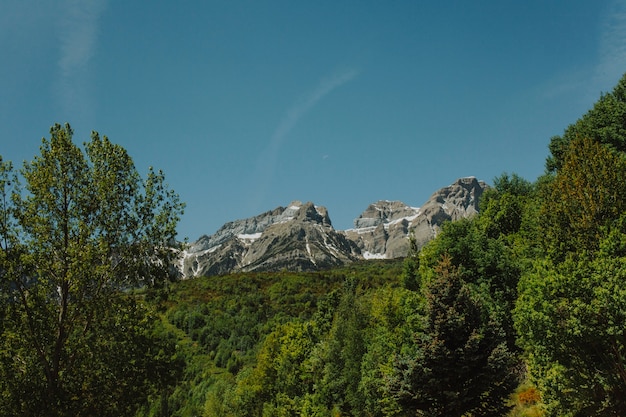 Paisaje de montaña con árboles verdes