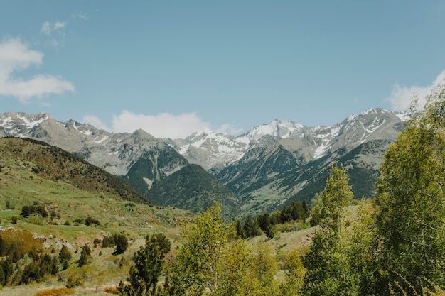 Paisaje de montaña con árboles verdes