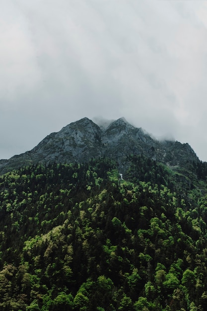 Paisaje de montaña con árboles verdes