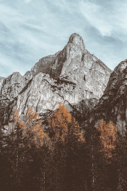 Foto gratuita paisaje de montaña gris