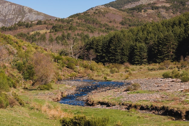 Paisaje de montaña con pequeño río