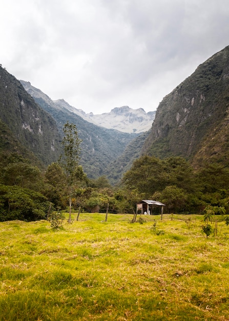 Paisaje con montaña y pradera