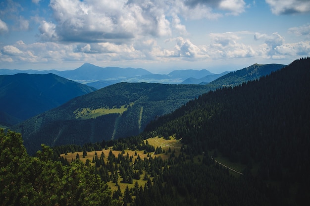 Paisaje de montaña