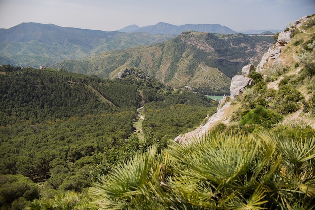 Paisaje de montaña