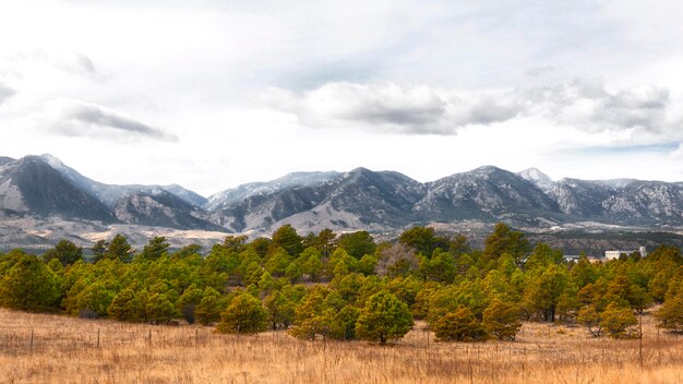 Paisaje con montañas y árboles